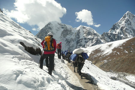 Everest Kalapather Trekking